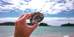 person holding stone